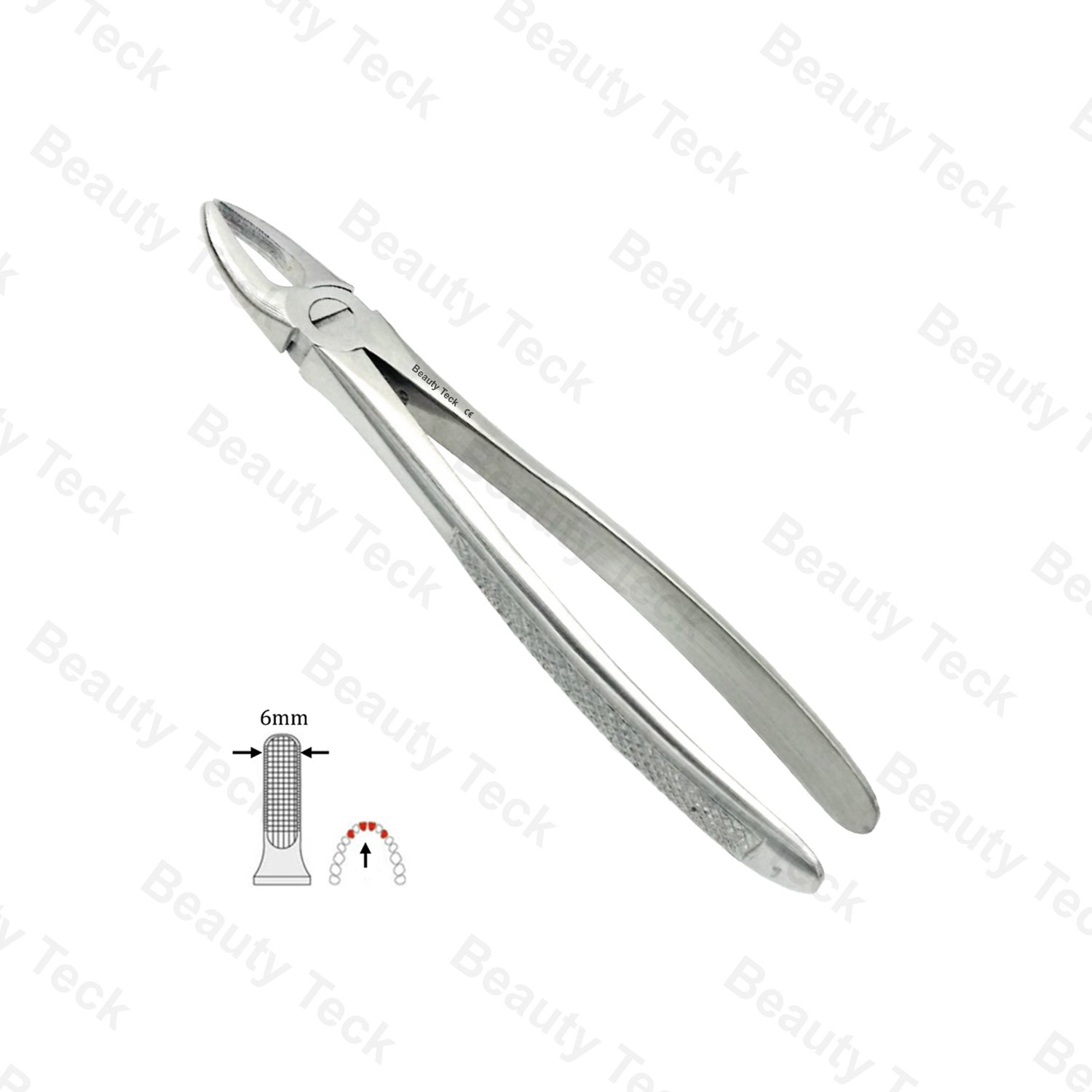 01 Upper Anteriors EF, Serrated, EU