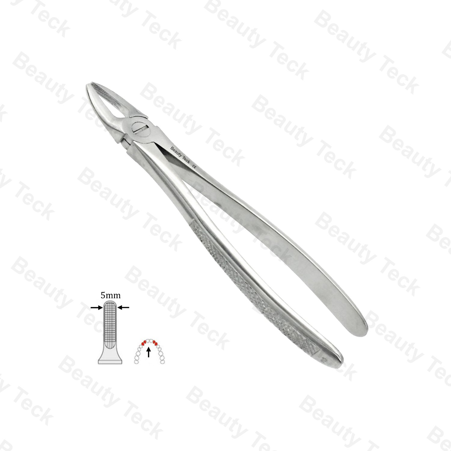 02 Upper & Side Incisors Premolar EF, Serrated, EU