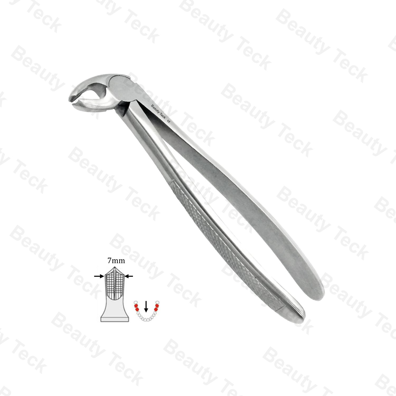 22 Lower Molars EF, Serrated, EU