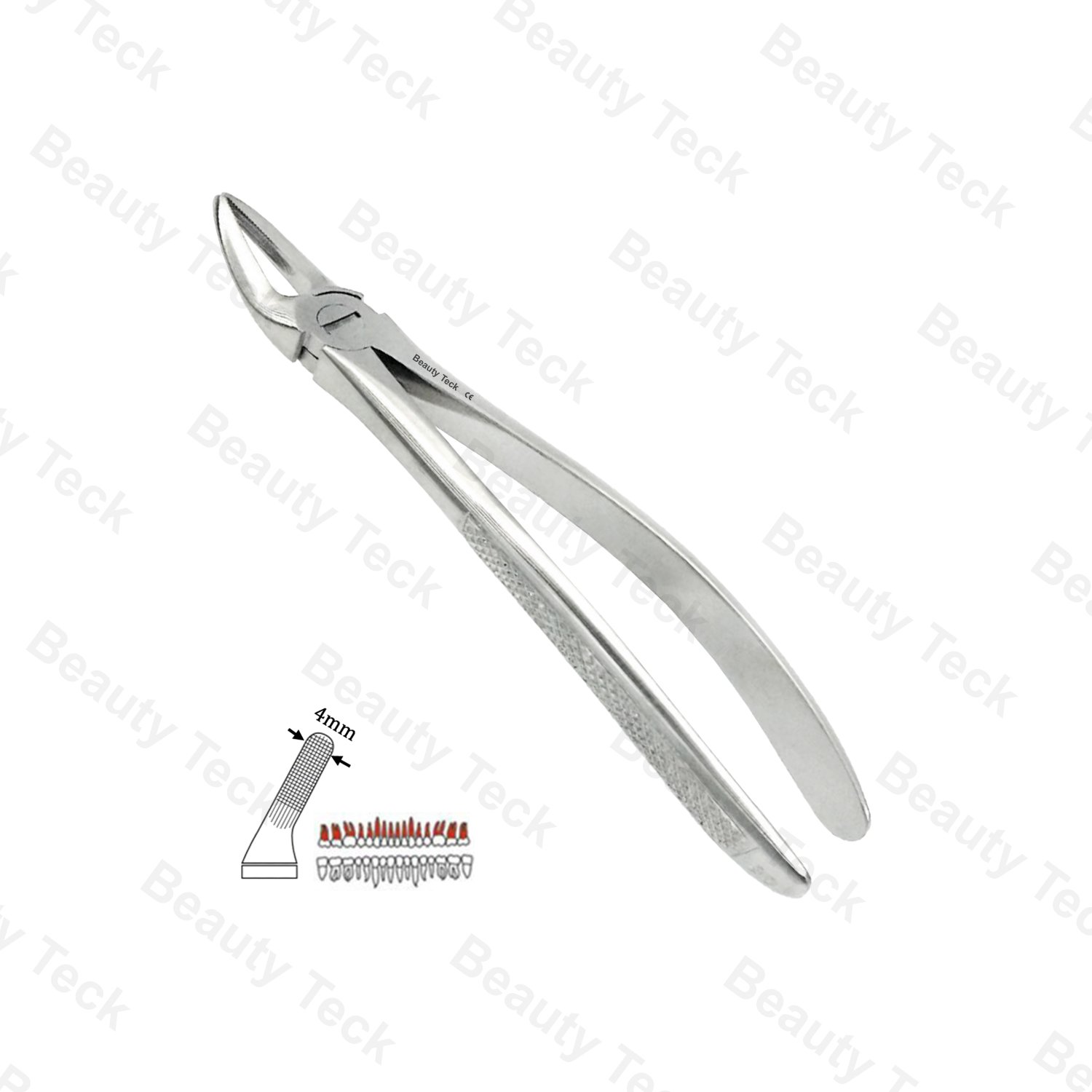 30 Upper Roots Both Sides EF, Serrated, EU