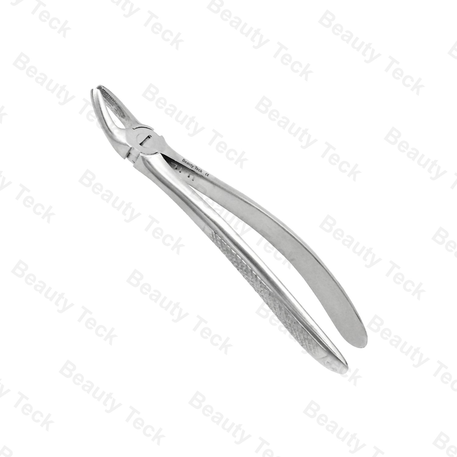 39 Lower Roots Both Sides EF, Serrated EU