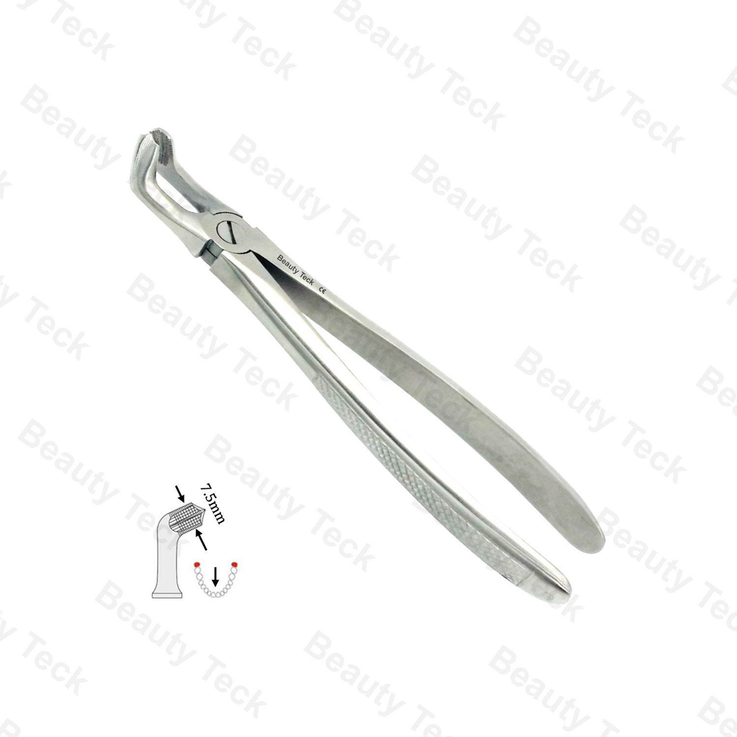 79 Lower Third Molars EF, Serrated EU