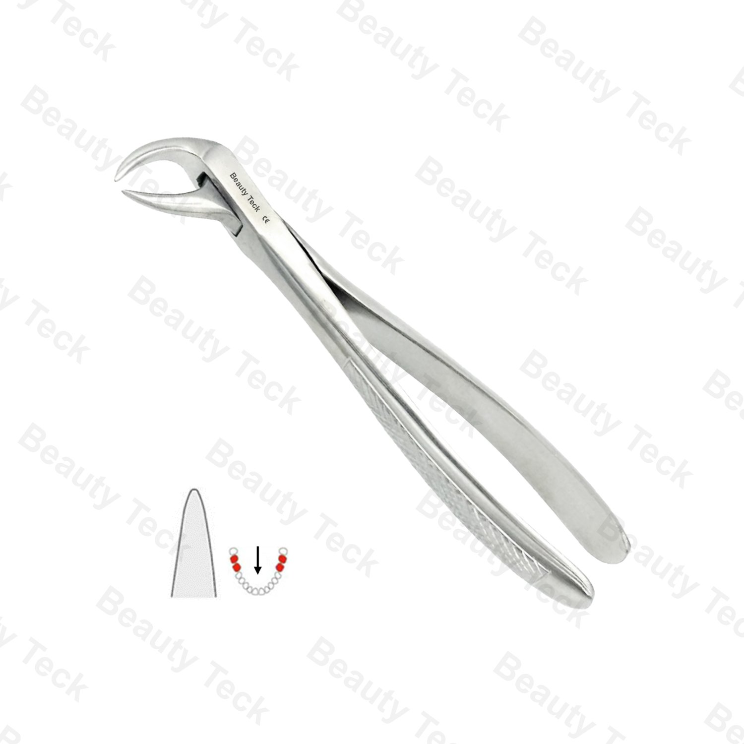 86A Lower Molars With Carious or Broken Crowns EF, Serrated EU