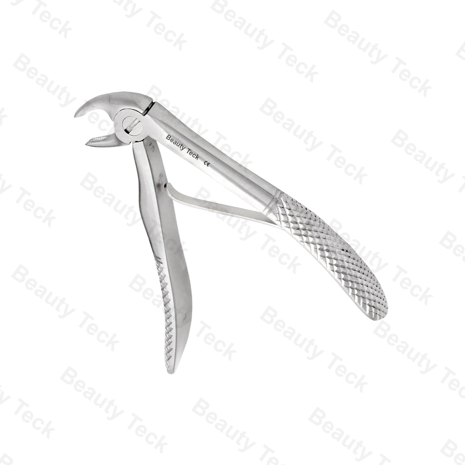 Lower Incisors EF