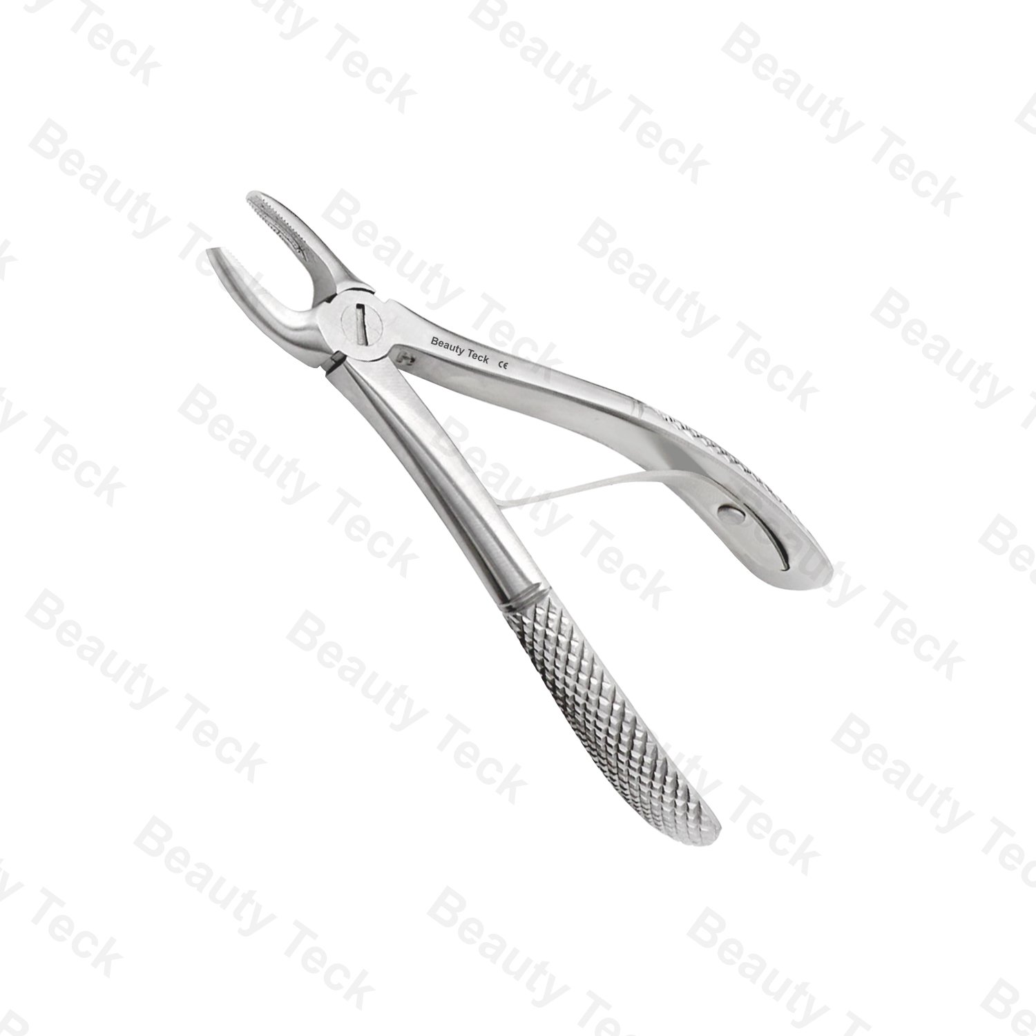 Upper Molars EF